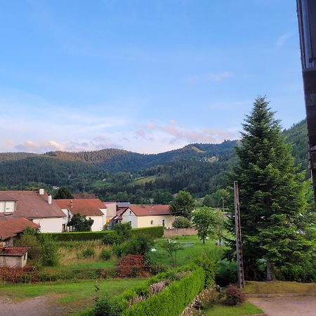 Appartement Chaleureux Au Coeur Des Hautes Vosges 방트롱 외부 사진