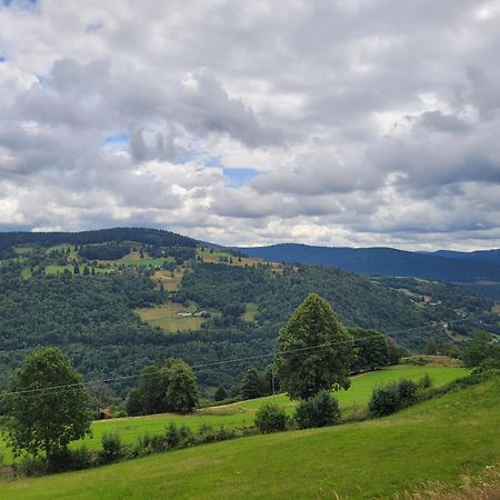 Appartement Chaleureux Au Coeur Des Hautes Vosges 방트롱 외부 사진