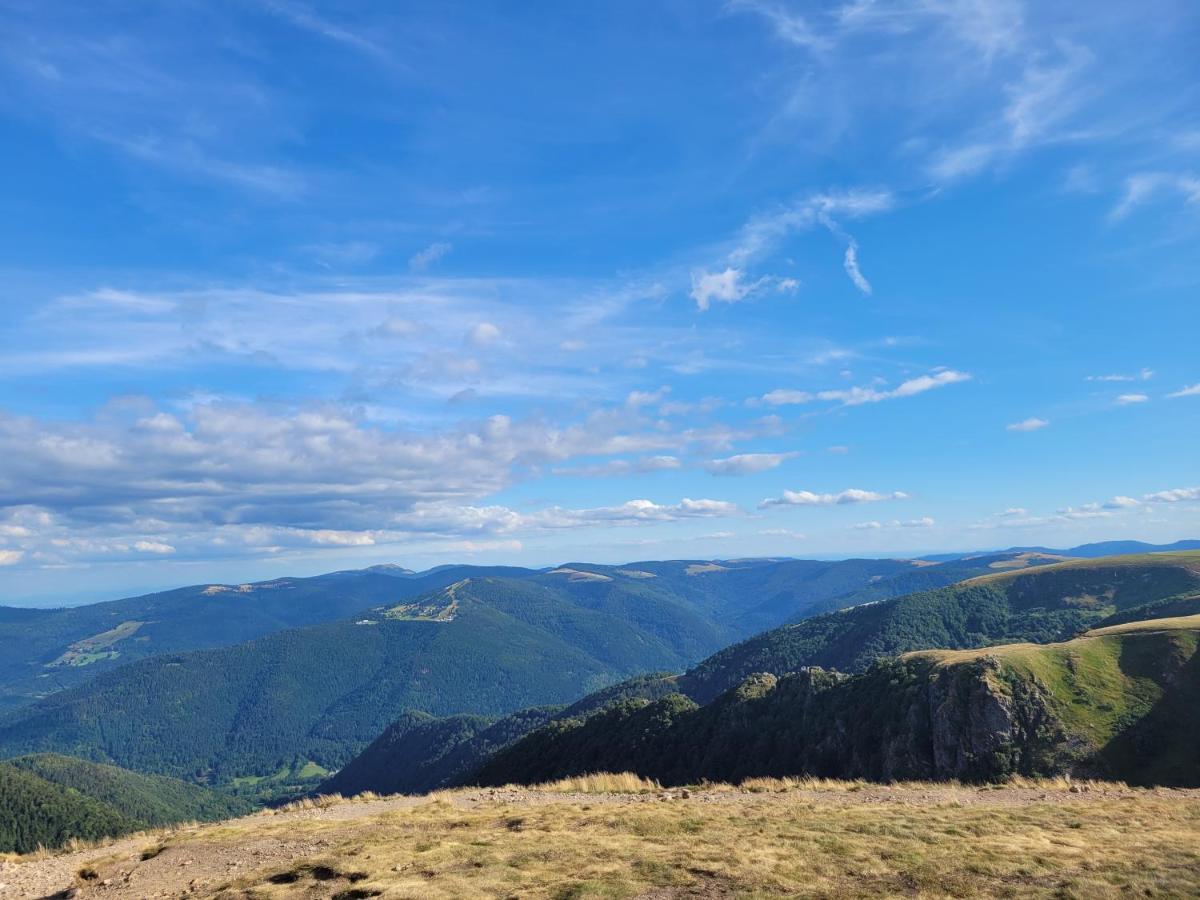 Appartement Chaleureux Au Coeur Des Hautes Vosges 방트롱 외부 사진
