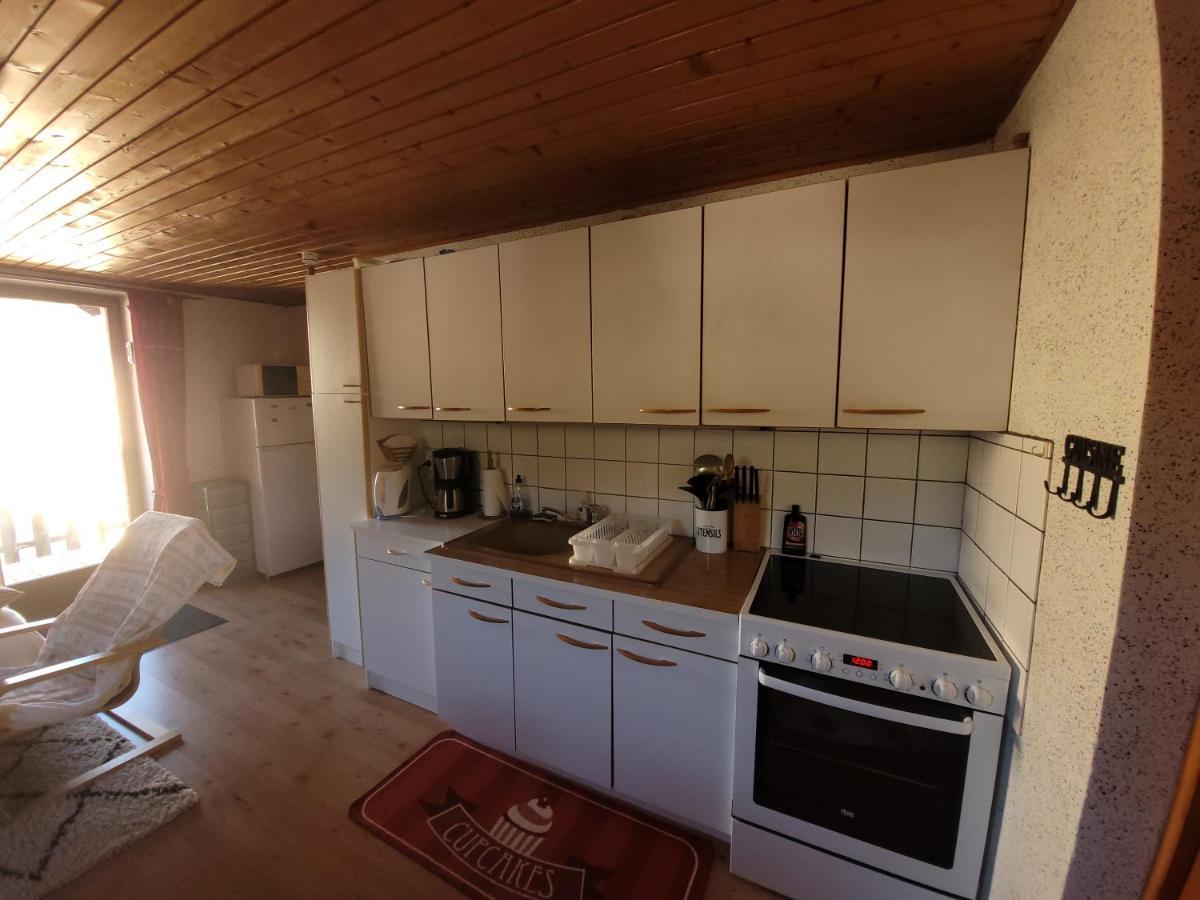 Appartement Chaleureux Au Coeur Des Hautes Vosges 방트롱 외부 사진