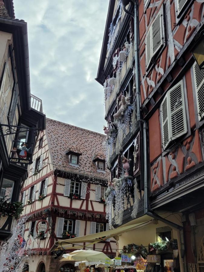Appartement Chaleureux Au Coeur Des Hautes Vosges 방트롱 외부 사진